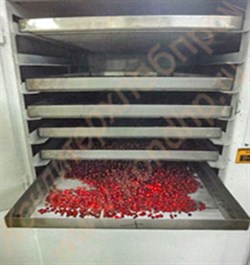 Универсальный сушильный конвекционный шкаф для пищевых продуктов в ...