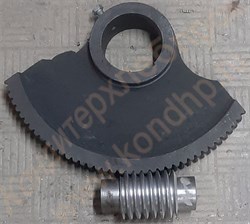 Сектор червячный и червяк ходовой к тестомесильной машине ТМ-63 (МТ-200 - фото 7251