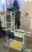 Машина выпрессовывающая отсадочная для производства кондитерских изделий круглой (шарообразной) формы - печенья, пирожных, мягких конфет различных видов (количество формующих ручьев-1/2)