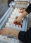 Машина для отрезания хвостов и головок моркови