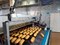 Установка автоматическая передвижная кареточного типа для опрыскивания хлеба водой на конвейерных тоннельных печах - фото 6991